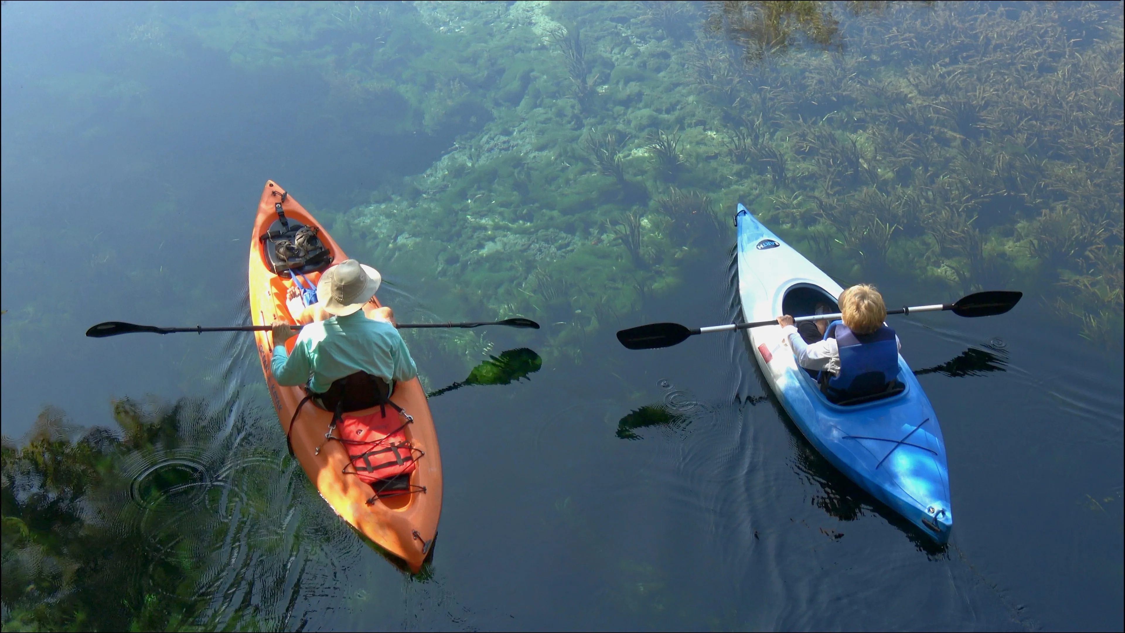 Best Springs and Swimming Holes Near The Villages and Ocala