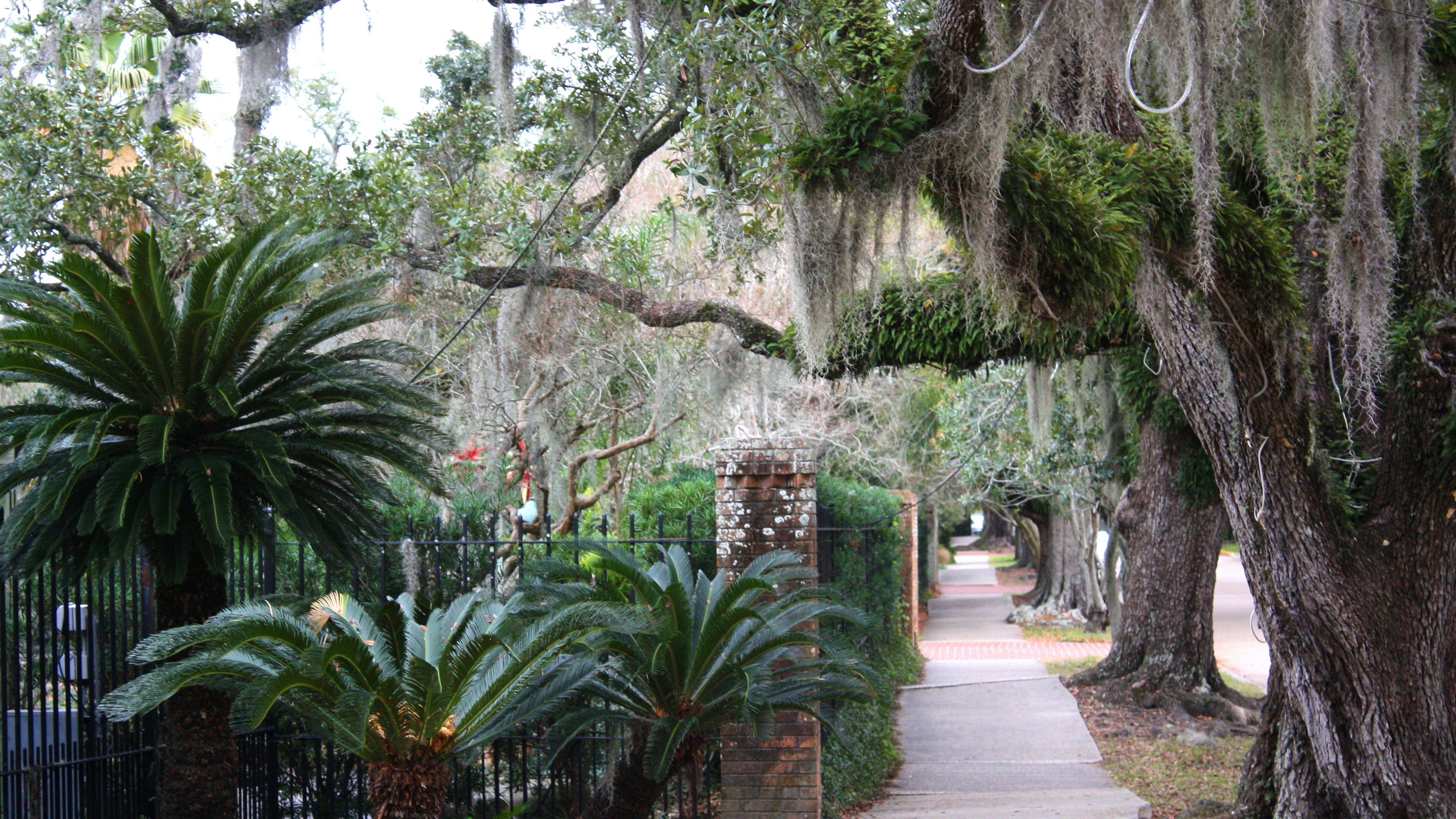 Free Things to Do Near The Villages & Ocala