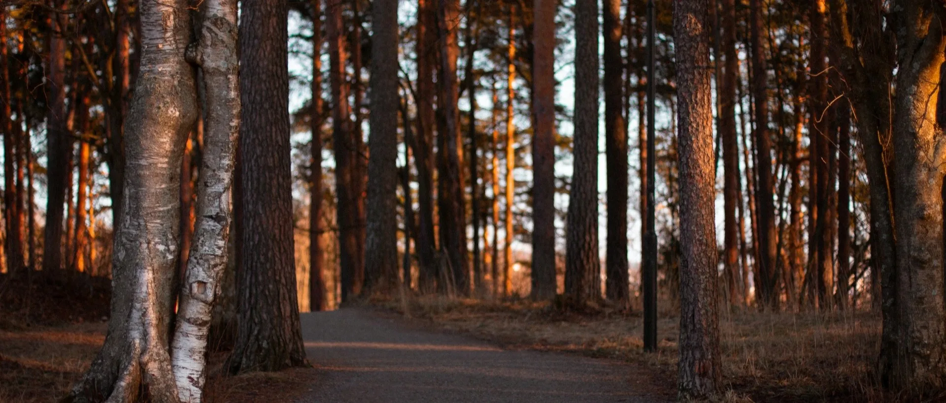 Best Hikes Within 30 Minutes of Downtown Chattanooga