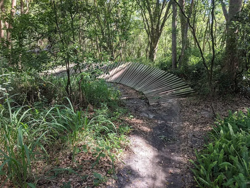 Mount Dora Trail