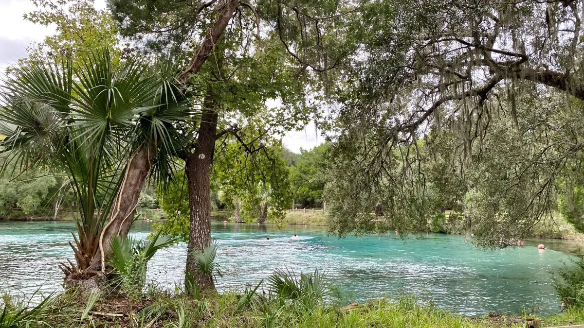 Ocala National Forest - park in Ocala