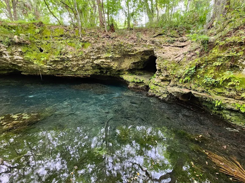 Scott Springs Park